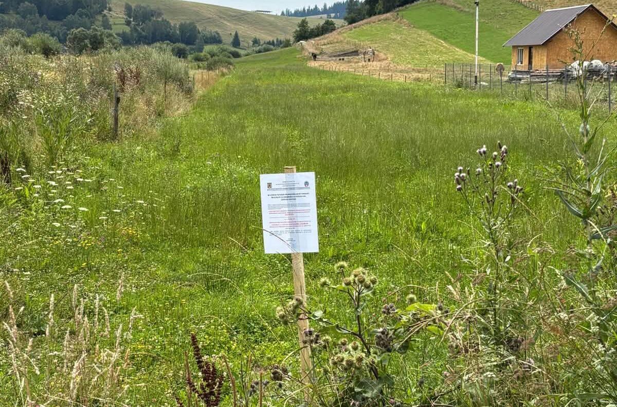 Primăria Barcani anunță amenzi de până la 2.500 de lei pentru proprietarii care nu își curăță șanțurile și rigolele