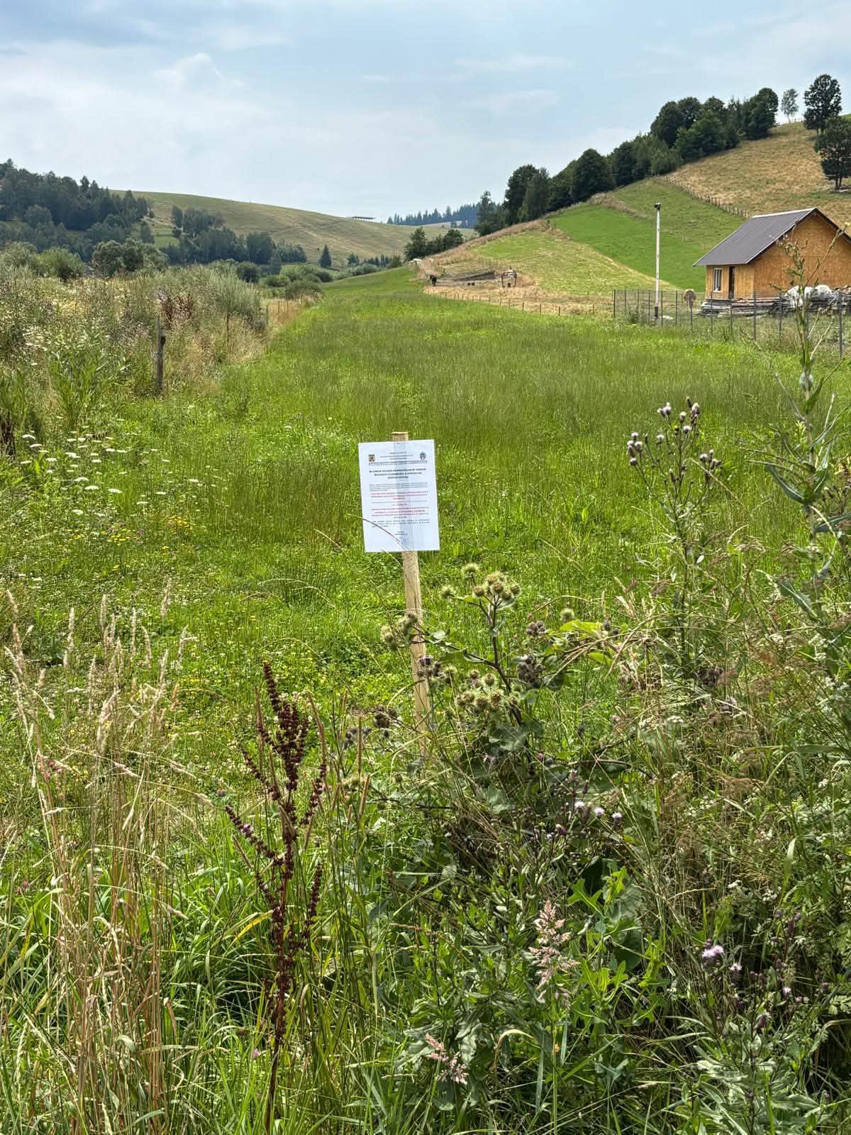 Primăria Barcani anunță amenzi de până la 2.500 de lei pentru proprietarii care nu își curăță șanțurile și rigolele