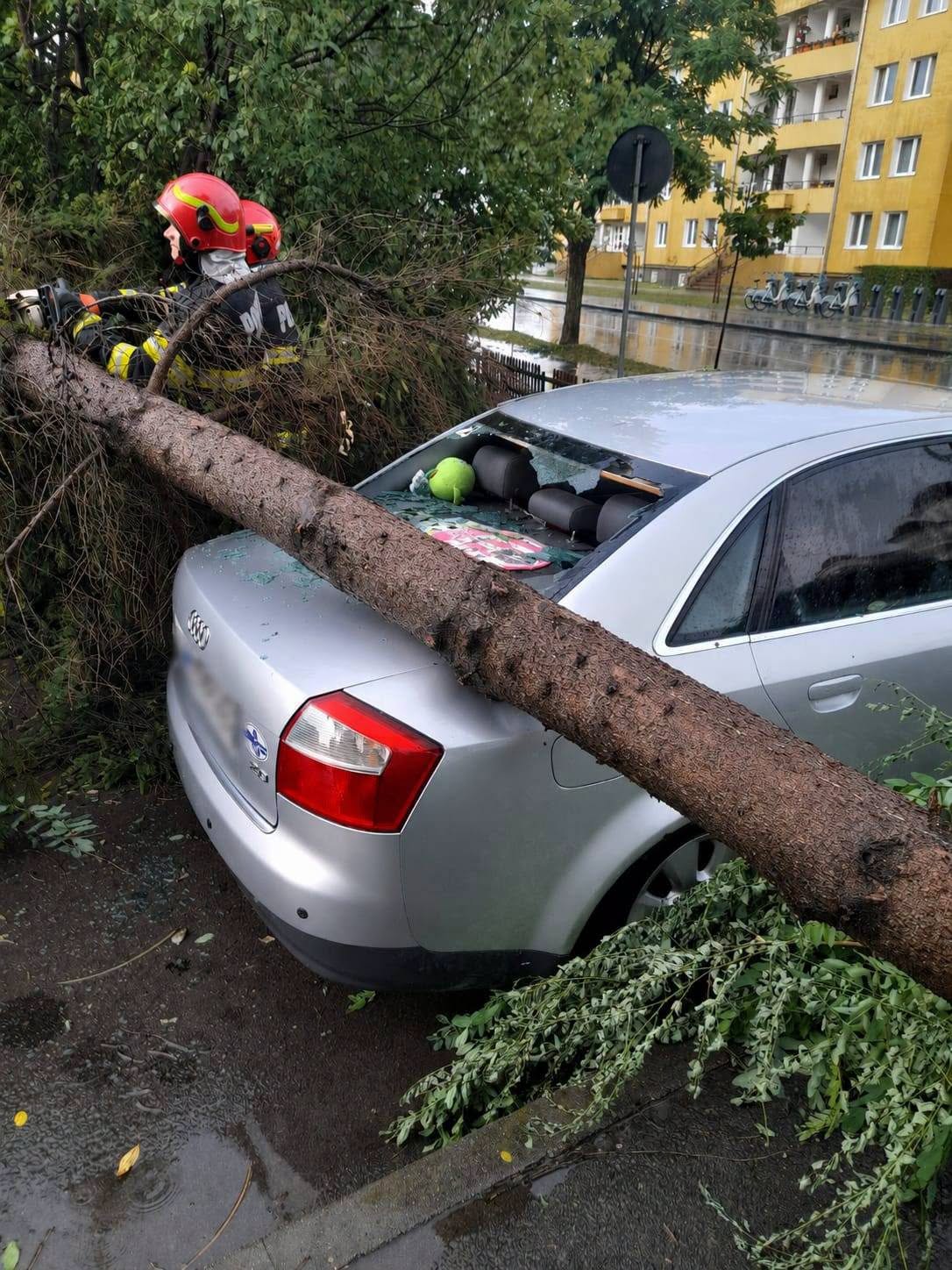 ISU Covasna: 35 de misiuni în sprijinul comunității, în ultimele zile; 8 dintre acestea- misiuni de degajare a arborilor căzuți, în Sfântu Gheorghe